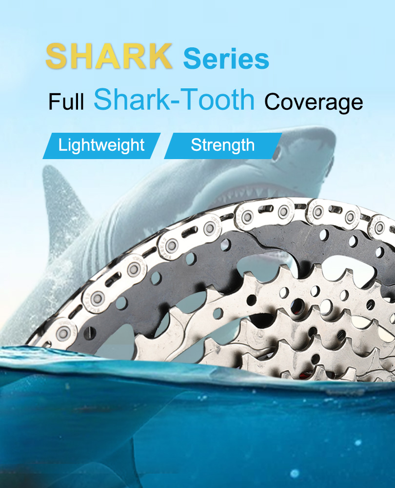 Shark Series