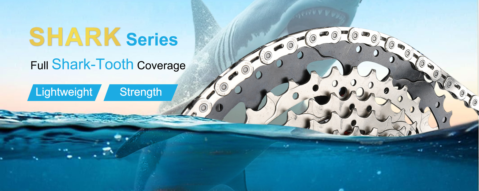 Shark Series